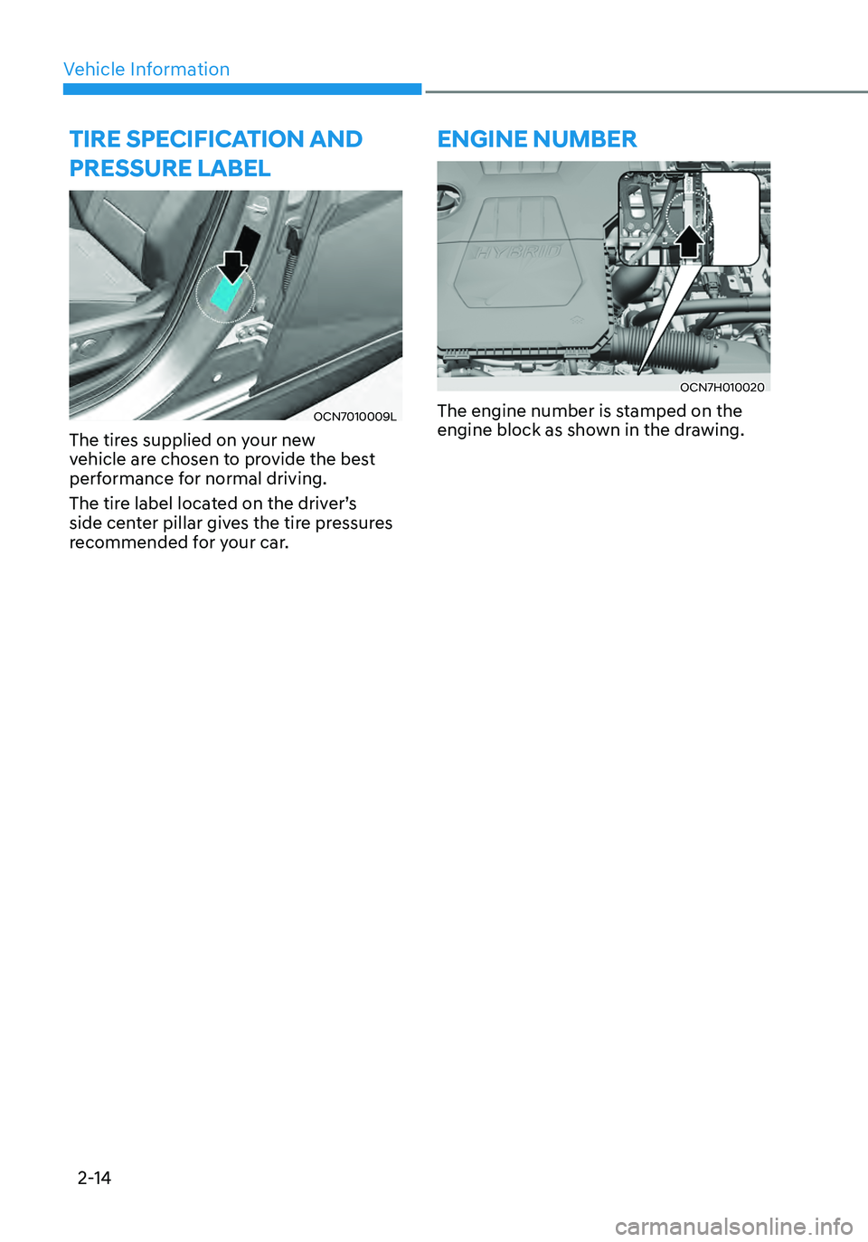 HYUNDAI ELANTRA HYBRID 2021 Service Manual Vehicle Information2-14
TIRE SPECIFICATION AND 
PRESSURE LABEL
OCN7010009L
The tires supplied on your new 
vehicle are chosen to provide the best 
performance for normal driving.
The tire label locate