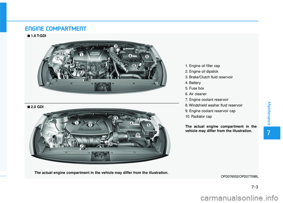 HYUNDAI ELANTRA GT 2020 Owners Manual 7-3
7
Maintenance
E
EN
N G
GI
IN
N E
E
C
C O
O M
M P
PA
A R
RT
TM
M E
EN
N T
T
OPD076002/OPD077098L
■
■2.0 GDI
■
■1.6 T-GDI
1. Engine oil filler cap
2. Engine oil dipstick
3. Brake/Clutch HYUNDAI ELANTRA GT 2020 Owners Manual 7-3
7
Maintenance
E
EN
N G
GI
IN
N E
E
C
C O
O M
M P
PA
A R
RT
TM
M E
EN
N T
T
OPD076002/OPD077098L
■
■2.0 GDI
■
■1.6 T-GDI
1. Engine oil filler cap
2. Engine oil dipstick
3. Brake/Clutch