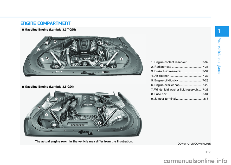 HYUNDAI GENESIS G80 2022 User Guide 1-7
Your vehicle at a glance
E
EN
N G
GI
IN
N E
E 
 C
C O
O M
M P
PA
A R
RT
TM
M E
EN
N T
T
1
1. Engine coolant reservoir ...................7-32
2. Radiator cap .....................................7