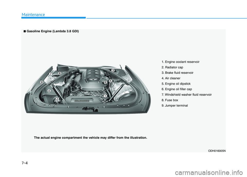 HYUNDAI GENESIS G80 2016 Owners Manual 7-4
Maintenance
1. Engine coolant reservoir
2. Radiator cap
3. Brake fluid reservoir
4. Air cleaner
5. Engine oil dipstick
6. Engine oil filler cap
7. Windshield washer fluid reservoir
8. Fuse box
9. HYUNDAI GENESIS G80 2016 Owners Manual 7-4
Maintenance
1. Engine coolant reservoir
2. Radiator cap
3. Brake fluid reservoir
4. Air cleaner
5. Engine oil dipstick
6. Engine oil filler cap
7. Windshield washer fluid reservoir
8. Fuse box
9.