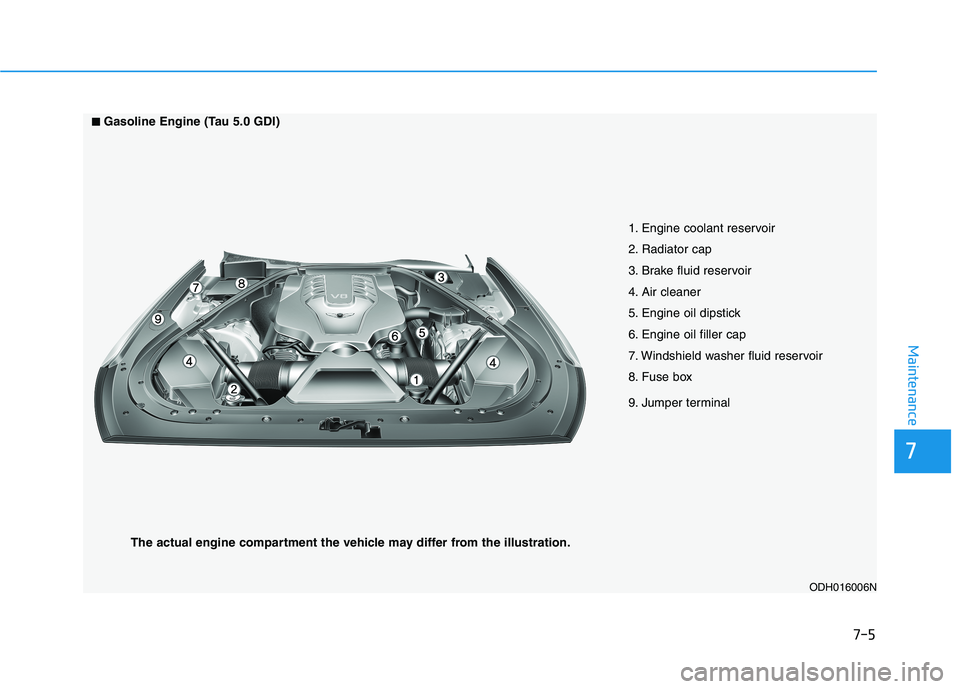 HYUNDAI GENESIS G80 2016 Owners Manual 7-5
7
Maintenance
1. Engine coolant reservoir
2. Radiator cap
3. Brake fluid reservoir
4. Air cleaner
5. Engine oil dipstick
6. Engine oil filler cap
7. Windshield washer fluid reservoir
8. Fuse box
9 HYUNDAI GENESIS G80 2016 Owners Manual 7-5
7
Maintenance
1. Engine coolant reservoir
2. Radiator cap
3. Brake fluid reservoir
4. Air cleaner
5. Engine oil dipstick
6. Engine oil filler cap
7. Windshield washer fluid reservoir
8. Fuse box
9