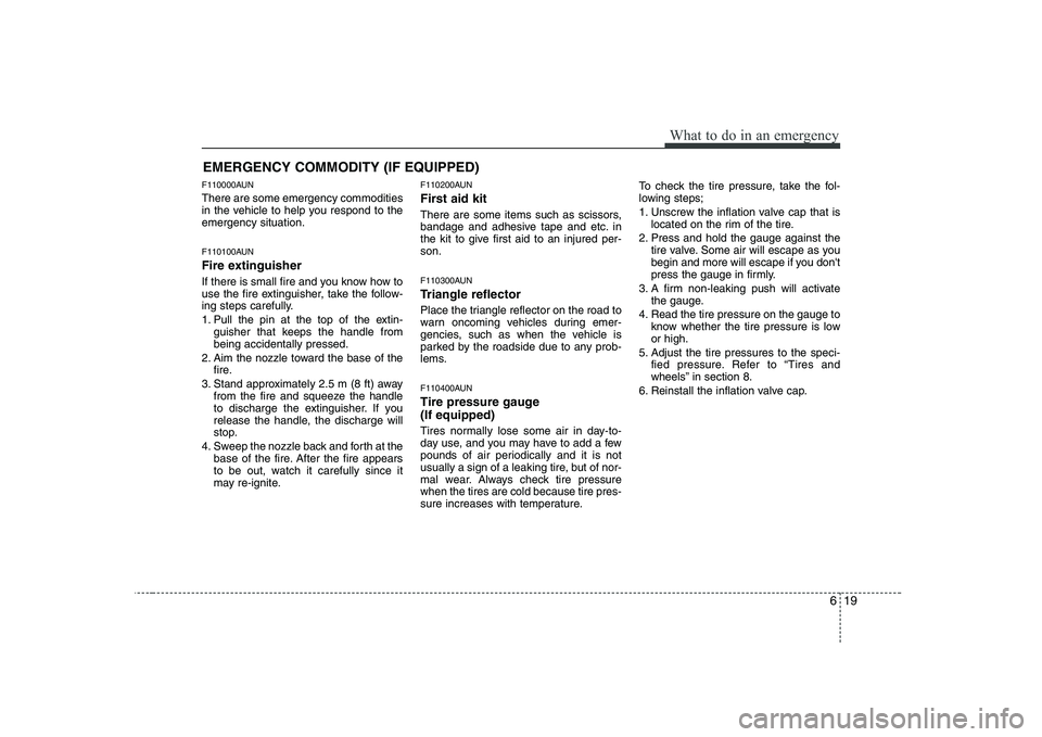 HYUNDAI GENESIS G80 2010  Owners Manual 619
What to do in an emergency
EMERGENCY COMMODITY (IF EQUIPPED) 
F110000AUN There are some emergency commodities 
in the vehicle to help you respond to theemergency situation. 
F110100AUN 
Fire extin
