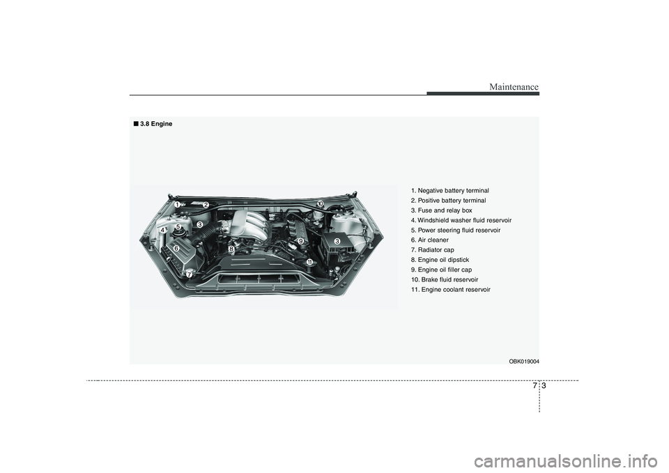 HYUNDAI GENESIS G80 2008  Owners Manual 73
Maintenance
1. Negative battery terminal 
2. Positive battery terminal
3. Fuse and relay box
4. Windshield washer fluid reservoir
5. Power steering fluid reservoir
6. Air cleaner
7. Radiator cap
8.