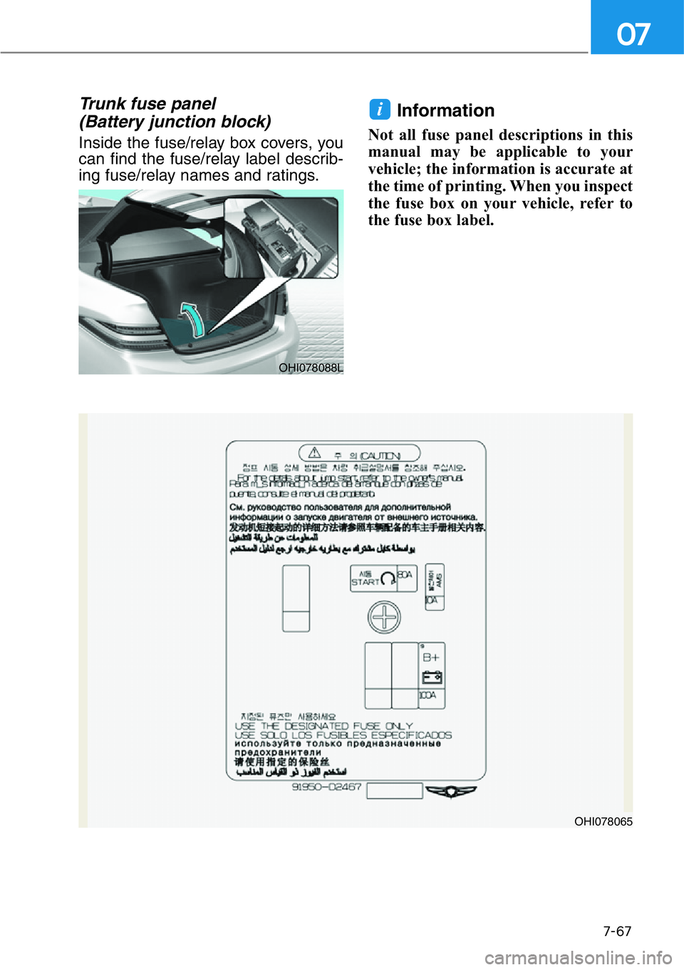 HYUNDAI GENESIS G90 2017 Owners Manual 7-67
07
Trunk fuse panel
(Battery junction block)
Inside the fuse/relay box covers, you
can find the fuse/relay label describ-
ing fuse/relay names and ratings.
Information
Not all fuse panel descri HYUNDAI GENESIS G90 2017 Owners Manual 7-67
07
Trunk fuse panel
(Battery junction block)
Inside the fuse/relay box covers, you
can find the fuse/relay label describ-
ing fuse/relay names and ratings.
Information
Not all fuse panel descri