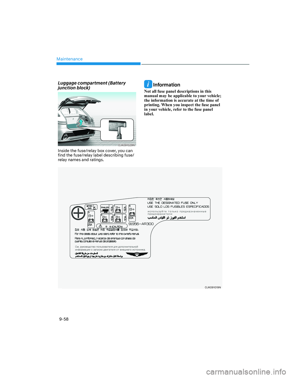 HYUNDAI GENESIS GV70 2022  Owners Manual Maintenance
9-58
Luggage compartment (Battery 
junction block)
OJK091029NOJK091029N
Inside the fuse/relay box cover, you can 
find the fuse/relay label describing fuse/
relay names and ratings.
 Infor