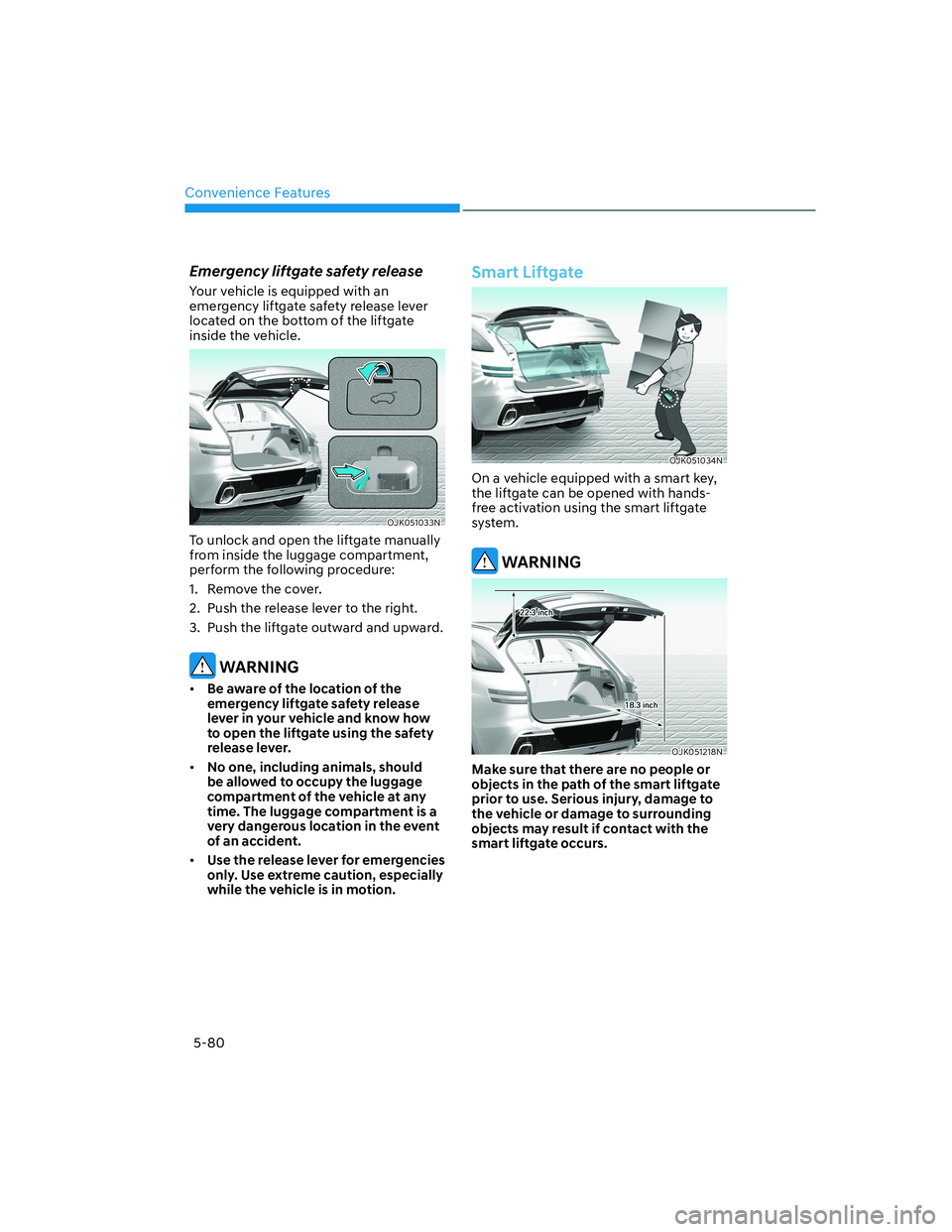 HYUNDAI GENESIS GV70 2021 Owners Manual Convenience Features
5-80
Emergency liftgate safety release
Your vehicle is equipped with an
emergency liftgate safety release lever
located on the bottom of the liftgate
inside the vehicle.
OJK051 HYUNDAI GENESIS GV70 2021 Owners Manual Convenience Features
5-80
Emergency liftgate safety release
Your vehicle is equipped with an
emergency liftgate safety release lever
located on the bottom of the liftgate
inside the vehicle.
OJK051