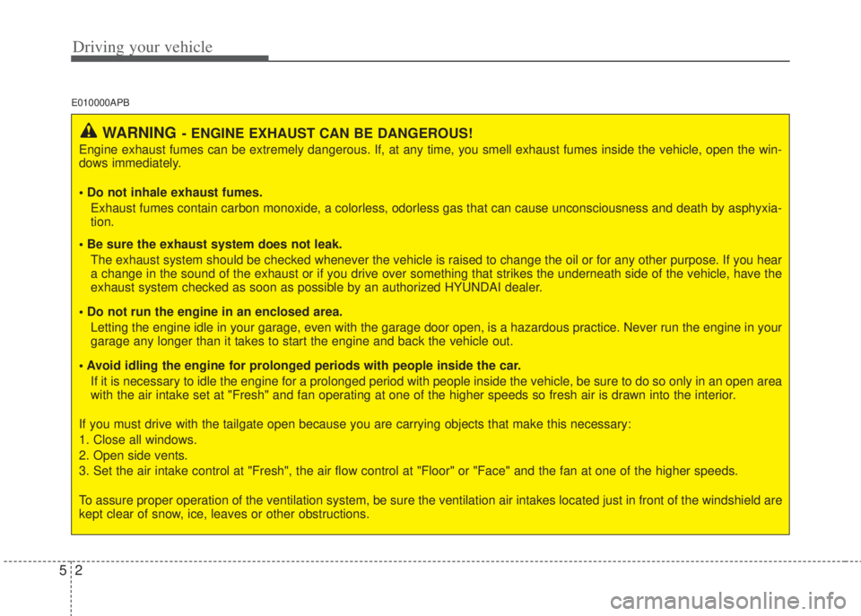 HYUNDAI I20 2013  Owners Manual Driving your vehicle
2 5
E010000APB
WARNING- ENGINE EXHAUST CAN BE DANGEROUS!
Engine exhaust fumes can be extremely dangerous. If, at any time, you smell exhaust fumes inside the vehicle, open the win
