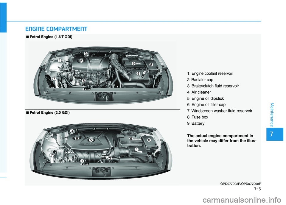 HYUNDAI I30 2023 Owners Manual 7-3
7
Maintenance
E EN
NG
GI
IN
NE
E
C
CO
OM
MP
PA
AR
RT
TM
ME
EN
NT
T
1. Engine coolant reservoir
2. Radiator cap
3. Brake/clutch fluid reservoir
4. Air cleaner
5. Engine oil dipstick
6. Engine oil HYUNDAI I30 2023 Owners Manual 7-3
7
Maintenance
E EN
NG
GI
IN
NE
E
C
CO
OM
MP
PA
AR
RT
TM
ME
EN
NT
T
1. Engine coolant reservoir
2. Radiator cap
3. Brake/clutch fluid reservoir
4. Air cleaner
5. Engine oil dipstick
6. Engine oil
