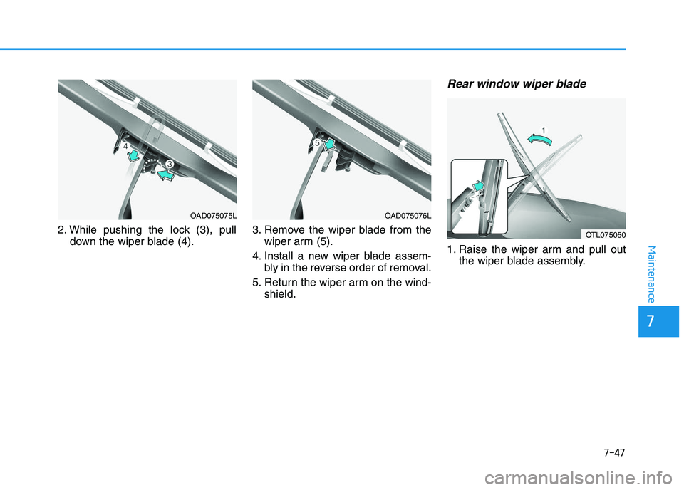 HYUNDAI I30 2020 Owners Manual 7-47
7
Maintenance
2. While pushing the lock (3), pulldown the wiper blade (4). 3. Remove the wiper blade from the
wiper arm (5).
4. Install a new wiper blade assem- bly in the reverse order of remova HYUNDAI I30 2020 Owners Manual 7-47
7
Maintenance
2. While pushing the lock (3), pulldown the wiper blade (4). 3. Remove the wiper blade from the
wiper arm (5).
4. Install a new wiper blade assem- bly in the reverse order of remova