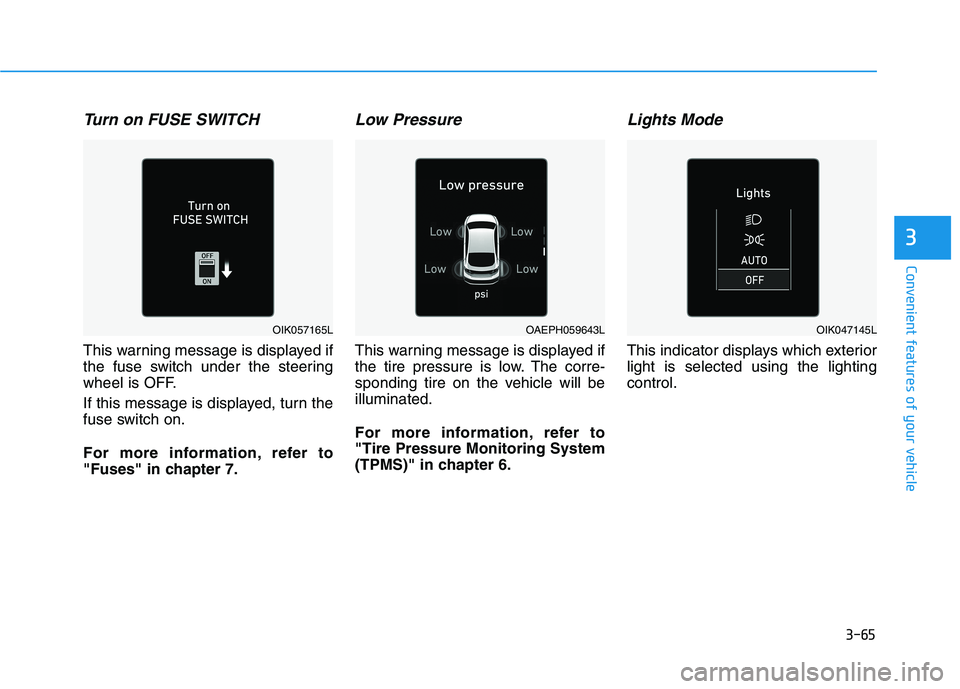HYUNDAI IONIQ ELECTRIC 2022 Owners Manual 3-65
Convenient features of your vehicle
3
Turn on FUSE SWITCH
This warning message is displayed if
the fuse switch under the steering
wheel is OFF.
If this message is displayed, turn the
fuse sw HYUNDAI IONIQ ELECTRIC 2022 Owners Manual 3-65
Convenient features of your vehicle
3
Turn on FUSE SWITCH
This warning message is displayed if
the fuse switch under the steering
wheel is OFF.
If this message is displayed, turn the
fuse sw
