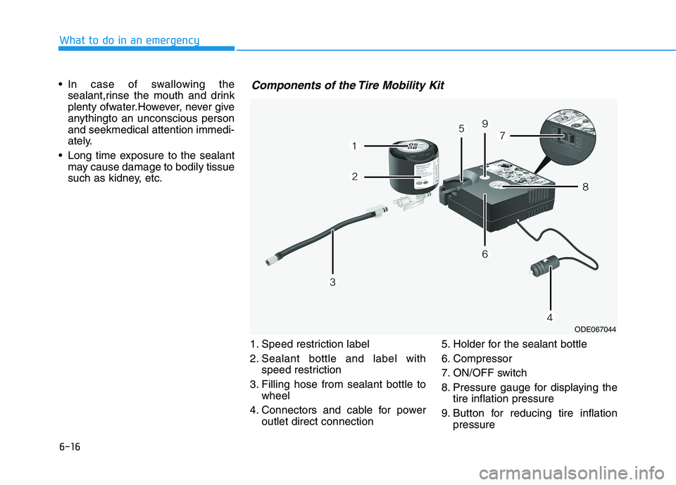 HYUNDAI IONIQ ELECTRIC 2022 Owners Manual 6-16
What to do in an emergency
In case of swallowing thesealant,rinse the mouth and drink
plenty ofwater.However, never give
anythingto an unconscious personand seekmedical attention immedi-
ately. HYUNDAI IONIQ ELECTRIC 2022 Owners Manual 6-16
What to do in an emergency
In case of swallowing thesealant,rinse the mouth and drink
plenty ofwater.However, never give
anythingto an unconscious personand seekmedical attention immedi-
ately.