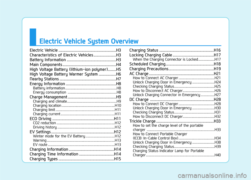 HYUNDAI IONIQ ELECTRIC 2021  Owners Manual EEllee ccttrr iicc   VV eehh iicc llee   SS yyssttee mm   OO vvee rrvv iiee ww
Electric Vehicle ........................................................H3 
Characteristics of Electric Vehicles .......