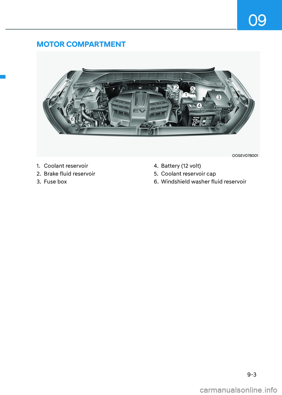 HYUNDAI KONA EV 2023 Owners Manual 9-3
09
OOSEV078001
1. Coolant reservoir
2. Brake fluid reservoir
3. Fuse box 4.
Battery (12 volt)
5. Coolant reservoir cap
6. Windshield washer fluid reservoir
MOTOR COMPARTMENT HYUNDAI KONA EV 2023 Owners Manual 9-3
09
OOSEV078001
1. Coolant reservoir
2. Brake fluid reservoir
3. Fuse box 4.
Battery (12 volt)
5. Coolant reservoir cap
6. Windshield washer fluid reservoir
MOTOR COMPARTMENT