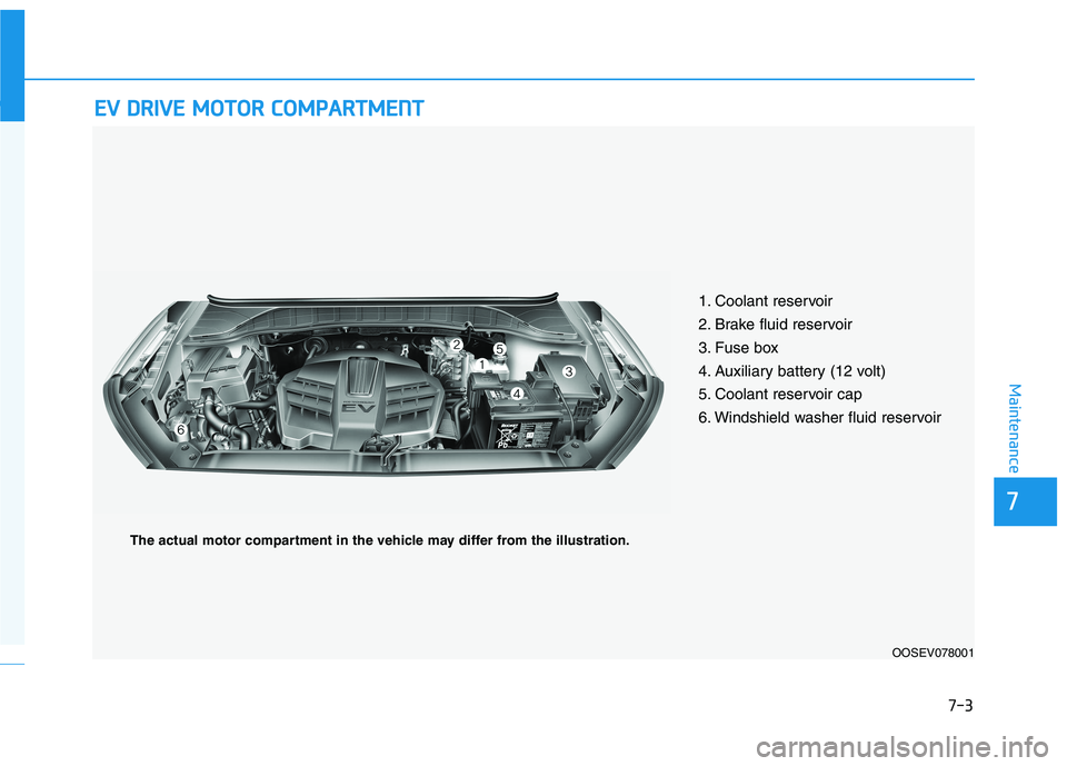 HYUNDAI KONA EV 2021 Owners Manual 7-3
7
Maintenance
E EV
V
D
DR
RI
IV
VE
E
M
MO
OT
TO
OR
R
C
CO
OM
MP
PA
AR
RT
TM
ME
EN
NT
T
1. Coolant reservoir
2. Brake fluid reservoir
3. Fuse box
4. Auxiliary battery (12 volt)
5. Coolant HYUNDAI KONA EV 2021 Owners Manual 7-3
7
Maintenance
E EV
V
D
DR
RI
IV
VE
E
M
MO
OT
TO
OR
R
C
CO
OM
MP
PA
AR
RT
TM
ME
EN
NT
T
1. Coolant reservoir
2. Brake fluid reservoir
3. Fuse box
4. Auxiliary battery (12 volt)
5. Coolant