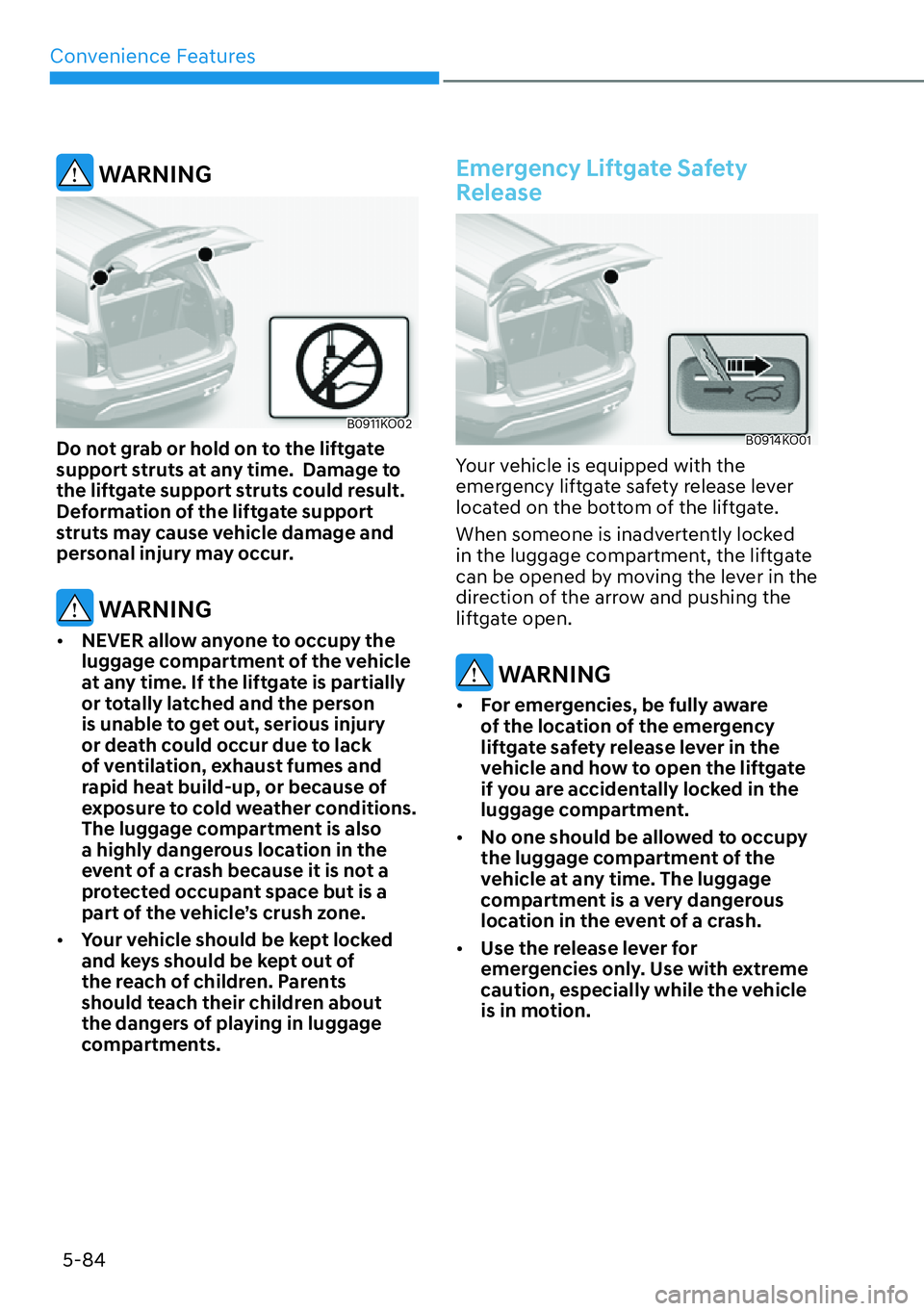 HYUNDAI PALISADE 2023  Owners Manual Convenience Features5-84
 WARNING
B0911KO02
Do not grab or hold on to the liftgate 
support struts at any time.  Damage to 
the liftgate support struts could result.  
Deformation of the liftgate supp