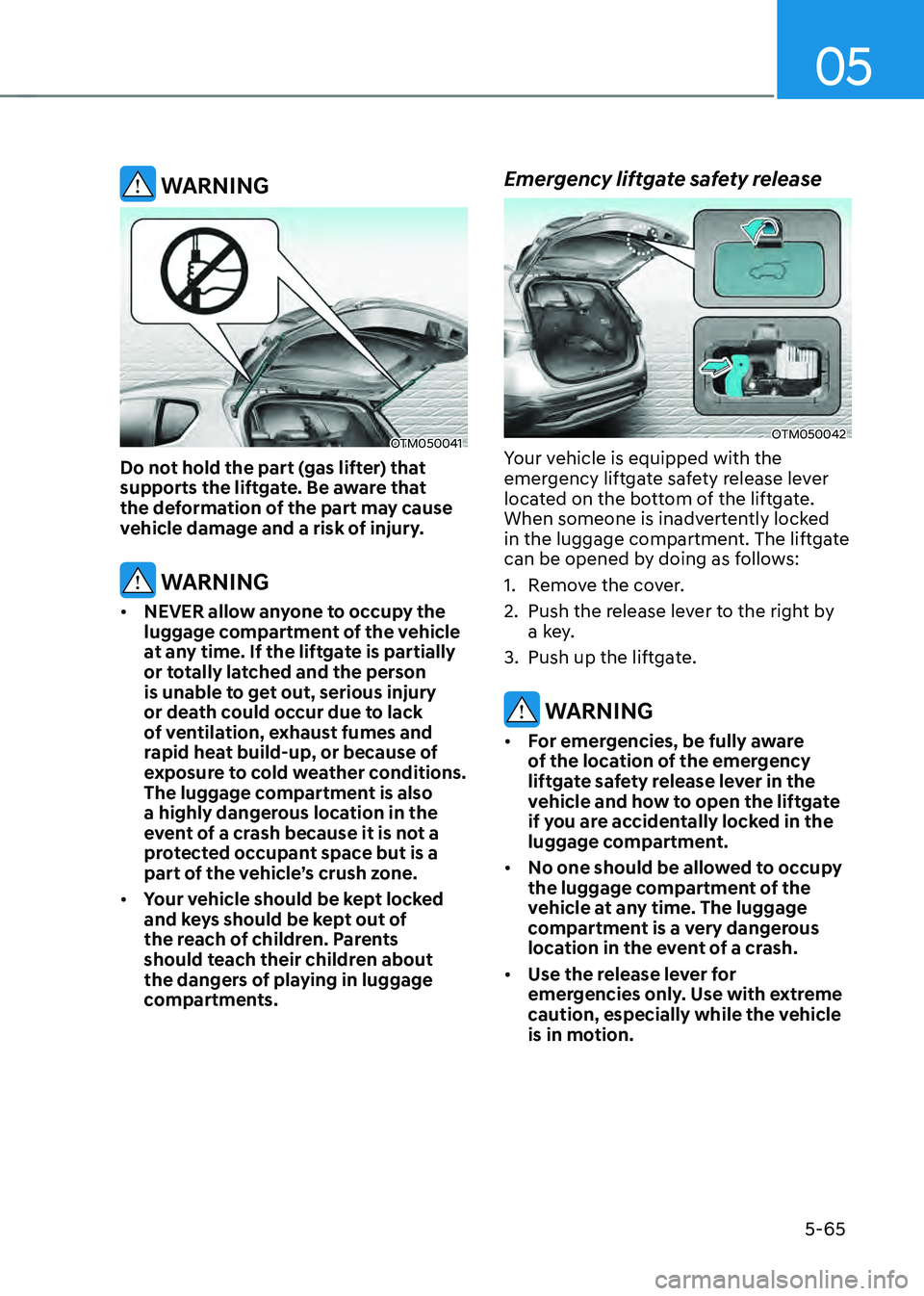 HYUNDAI SANTA FE HYBRID 2021 Owners Manual 05
5-65
WARNING
OTM050041
Do not hold the part (gas lifter) that
supports the liftgate. Be aware that
the deformation of the part may cause
vehicle damage and a risk of injury.
WARNING
• NEVER HYUNDAI SANTA FE HYBRID 2021 Owners Manual 05
5-65
WARNING
OTM050041
Do not hold the part (gas lifter) that
supports the liftgate. Be aware that
the deformation of the part may cause
vehicle damage and a risk of injury.
WARNING
• NEVER