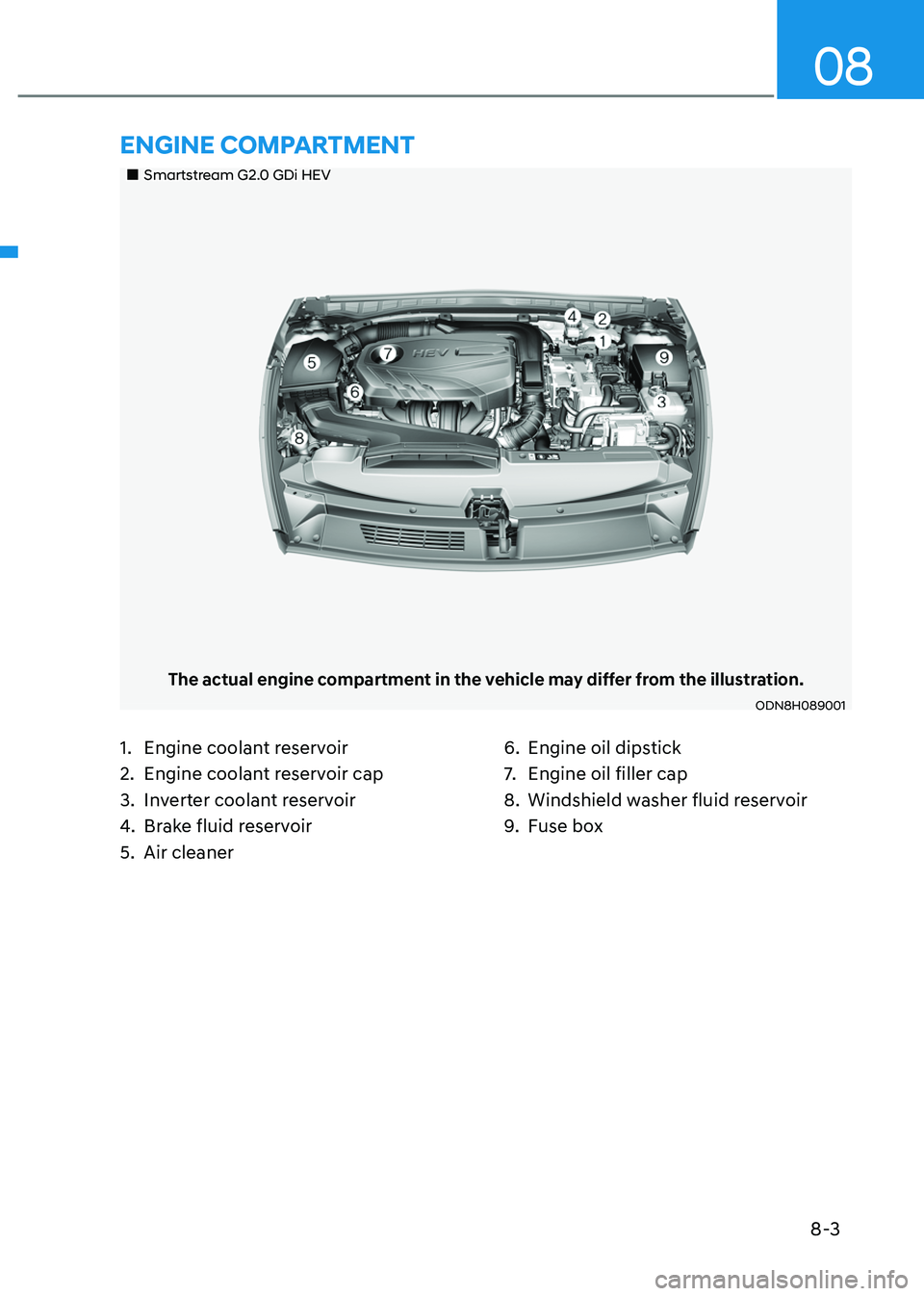 HYUNDAI SONATA HYBRID 2022 Owners Manual 8-3
08
Smartstream G2.0 GDi HEV
The actual engine compartment in the vehicle may differ from the illustration.
ODN8H089001
1. Engine coolant reservoir
2. Engine coolant reservoir cap
3. In HYUNDAI SONATA HYBRID 2022 Owners Manual 8-3
08
Smartstream G2.0 GDi HEV
The actual engine compartment in the vehicle may differ from the illustration.
ODN8H089001
1. Engine coolant reservoir
2. Engine coolant reservoir cap
3. In