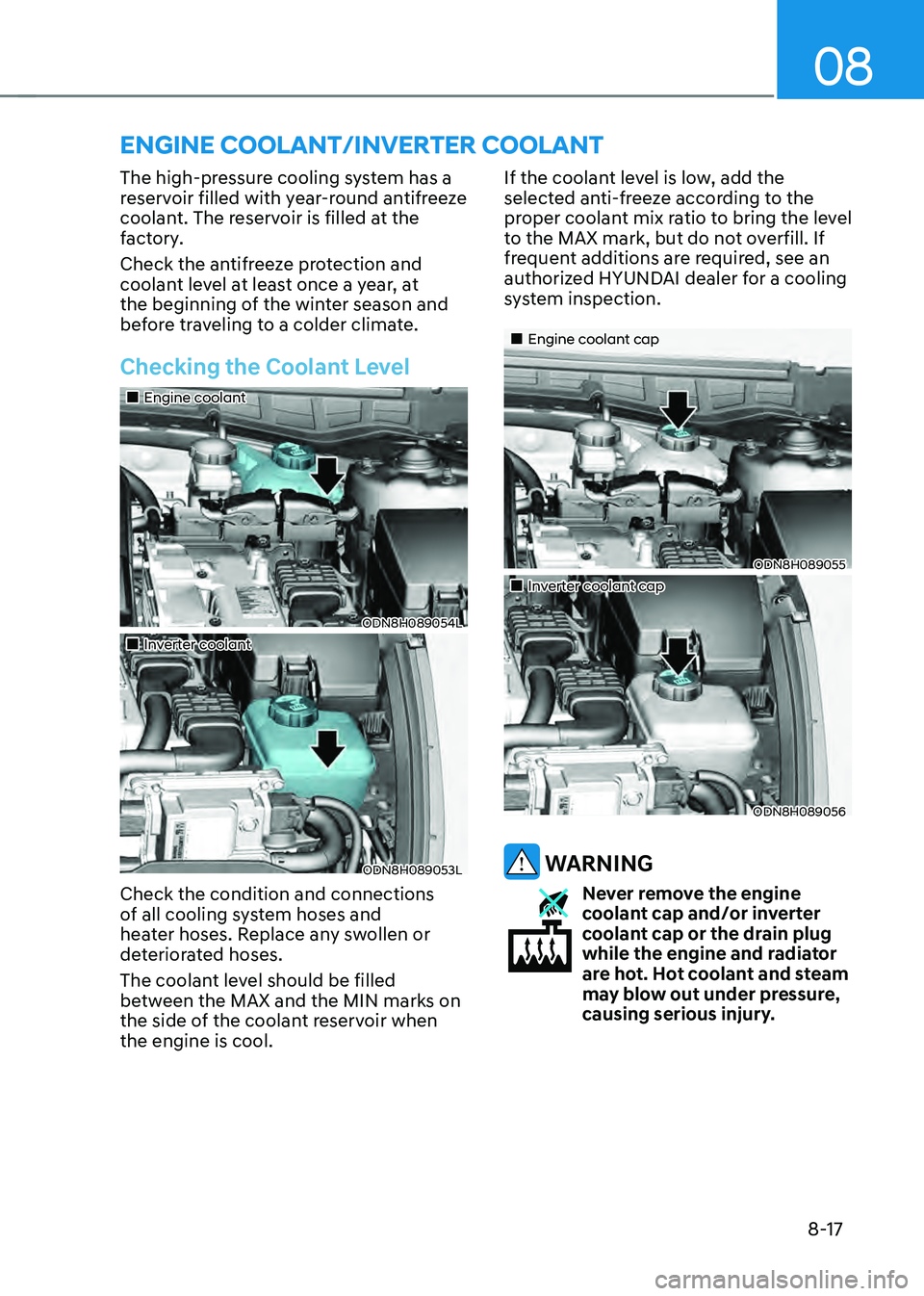 HYUNDAI SONATA HYBRID 2022 Owners Manual 08
8-17
The high-pressure cooling system has a
reservoir filled with year-round antifreeze
coolant. The reservoir is filled at the
factory.
Check the antifreeze protection and
coolant level at lea HYUNDAI SONATA HYBRID 2022 Owners Manual 08
8-17
The high-pressure cooling system has a
reservoir filled with year-round antifreeze
coolant. The reservoir is filled at the
factory.
Check the antifreeze protection and
coolant level at lea