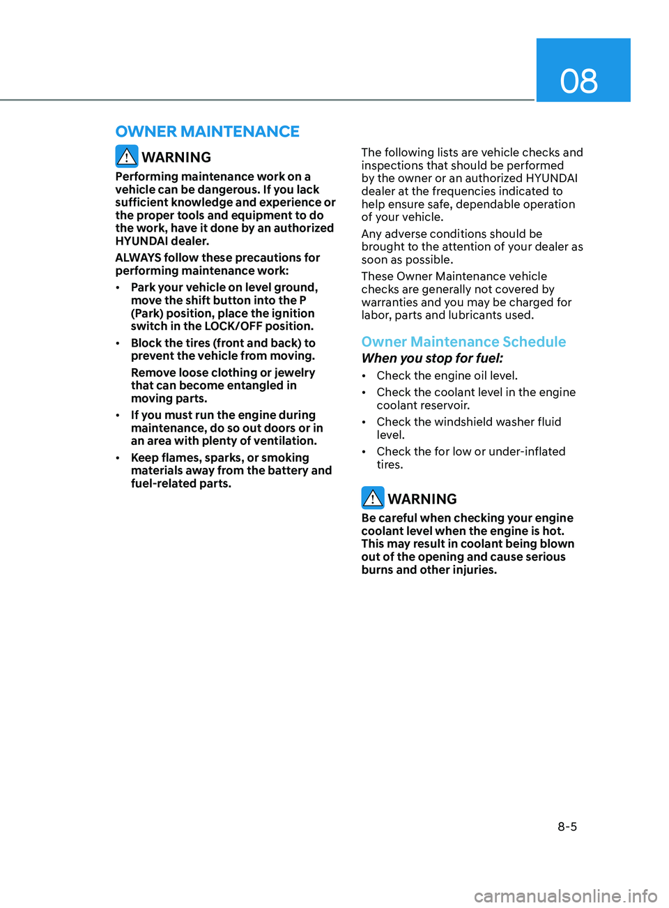 HYUNDAI SONATA LIMITED 2021  Owners Manual 08
8-5
 WARNING
Performing maintenance work on a 
vehicle can be dangerous. If you lack 
sufficient knowledge and experience or 
the proper tools and equipment to do 
the work, have it done by an auth