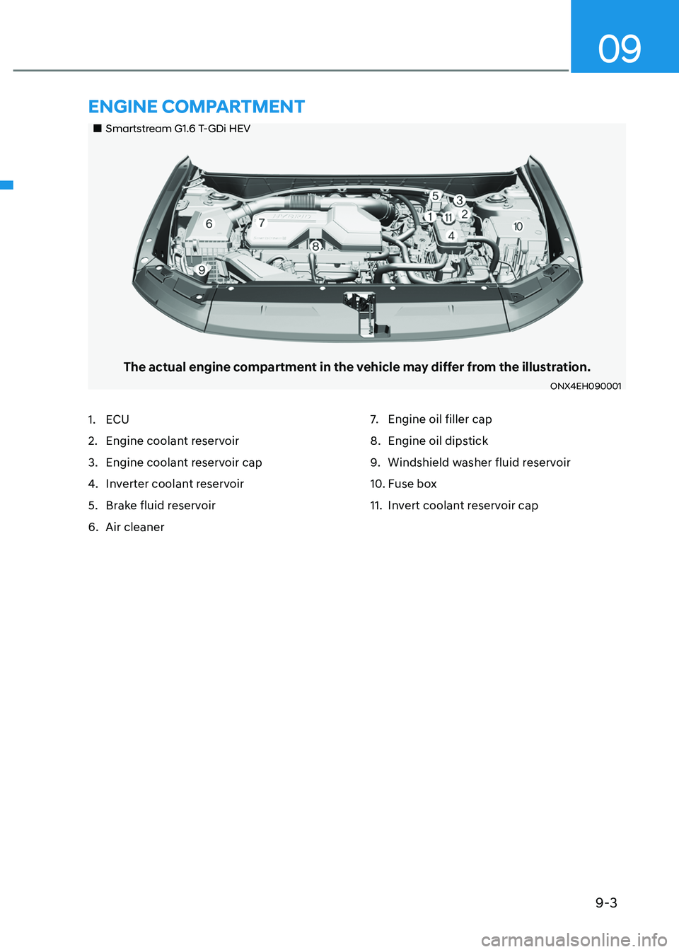 HYUNDAI TUCSON HYBRID 2022 Owners Manual 9-3
09
Smartstream G1.6 T-GDi HEV
The actual engine compartment in the vehicle may differ from the illustration.
ONX4EH090001
1. ECU
2.
Engine coolan
t reservoir
3.
Engine coolan
t res HYUNDAI TUCSON HYBRID 2022 Owners Manual 9-3
09
Smartstream G1.6 T-GDi HEV
The actual engine compartment in the vehicle may differ from the illustration.
ONX4EH090001
1. ECU
2.
Engine coolan
t reservoir
3.
Engine coolan
t res