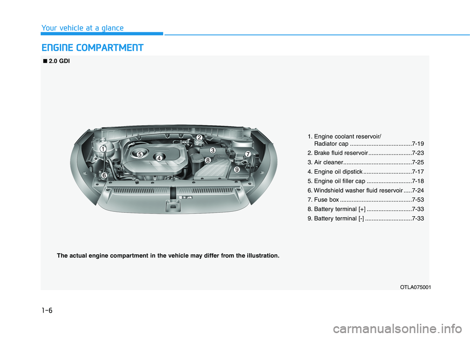 HYUNDAI TUCSON 2021 User Guide 1-6
E EN
NG
GI
IN
NE
E
C
CO
OM
MP
PA
AR
RT
TM
ME
EN
NT
T
Your vehicle at a glance
OTLA075001 ■ ■
2.0 GDI
1. Engine coolant reservoir/
Radiator cap .....................................7-19
2. Br HYUNDAI TUCSON 2021 User Guide 1-6
E EN
NG
GI
IN
NE
E
C
CO
OM
MP
PA
AR
RT
TM
ME
EN
NT
T
Your vehicle at a glance
OTLA075001 ■ ■
2.0 GDI
1. Engine coolant reservoir/
Radiator cap .....................................7-19
2. Br