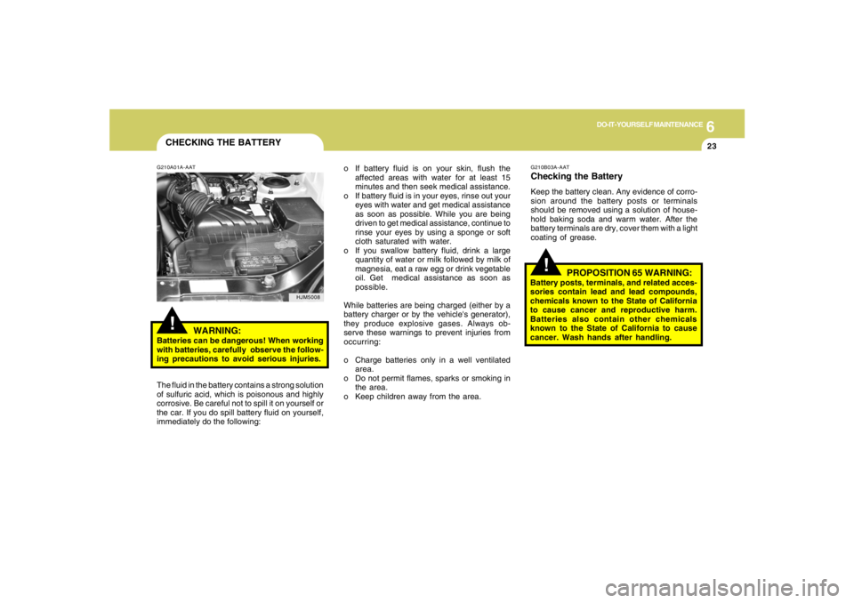 HYUNDAI TUCSON 2006  Owners Manual 6
DO-IT-YOURSELF MAINTENANCE
23
CHECKING THE BATTERY!
G210A01A-AAT
WARNING:
Batteries can be dangerous! When working
with batteries, carefully  observe the follow-
ing precautions to avoid serious inj