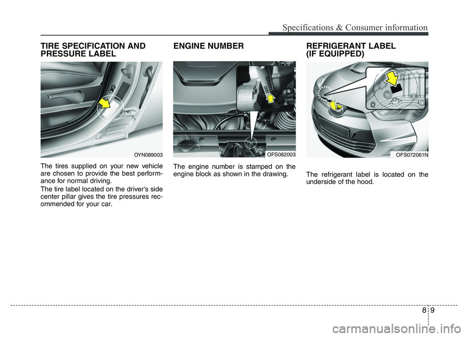 HYUNDAI VELOSTER TURBO 2016  Owners Manual 89
Specifications & Consumer information
TIRE SPECIFICATION AND
PRESSURE LABEL
The tires supplied on your new vehicle
are chosen to provide the best perform-
ance for normal driving.
The tire label lo