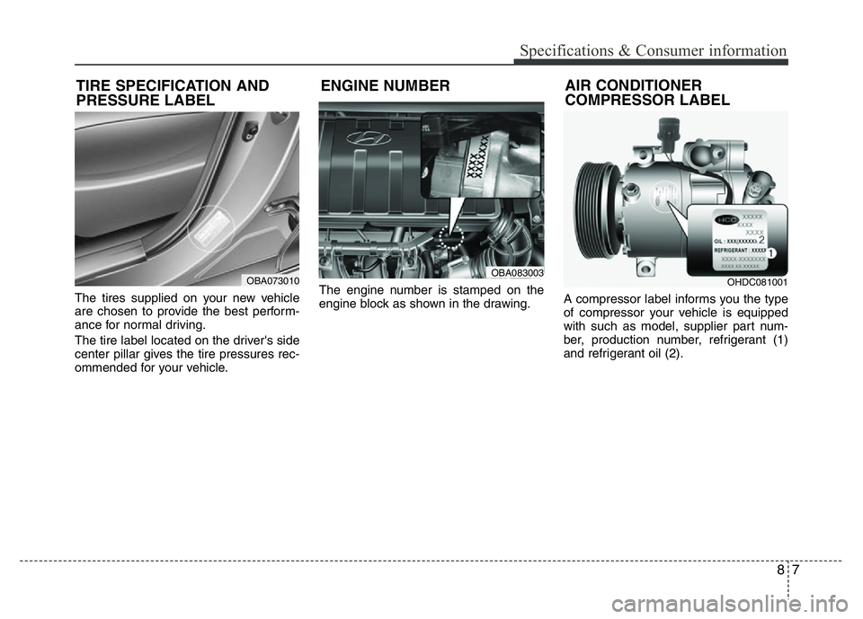 HYUNDAI I10 2016  Owners Manual 87
Specifications & Consumer information
The tires supplied on your new vehicle
are chosen to provide the best perform-
ance for normal driving.
The tire label located on the driver's side
center 