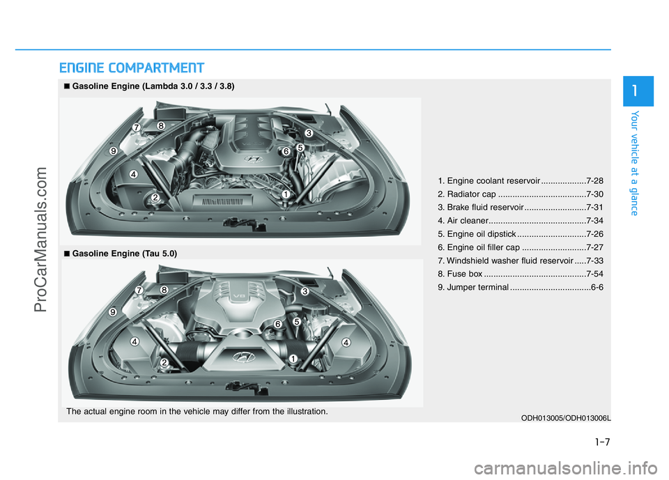 HYUNDAI COUPE 2014 User Guide 1-7
Your vehicle at a glance
1
ENGINE COMPARTMENT
1. Engine coolant reservoir ...................7-28
2. Radiator cap .....................................7-30
3. Brake fluid reservoir ............... HYUNDAI COUPE 2014 User Guide 1-7
Your vehicle at a glance
1
ENGINE COMPARTMENT
1. Engine coolant reservoir ...................7-28
2. Radiator cap .....................................7-30
3. Brake fluid reservoir ...............