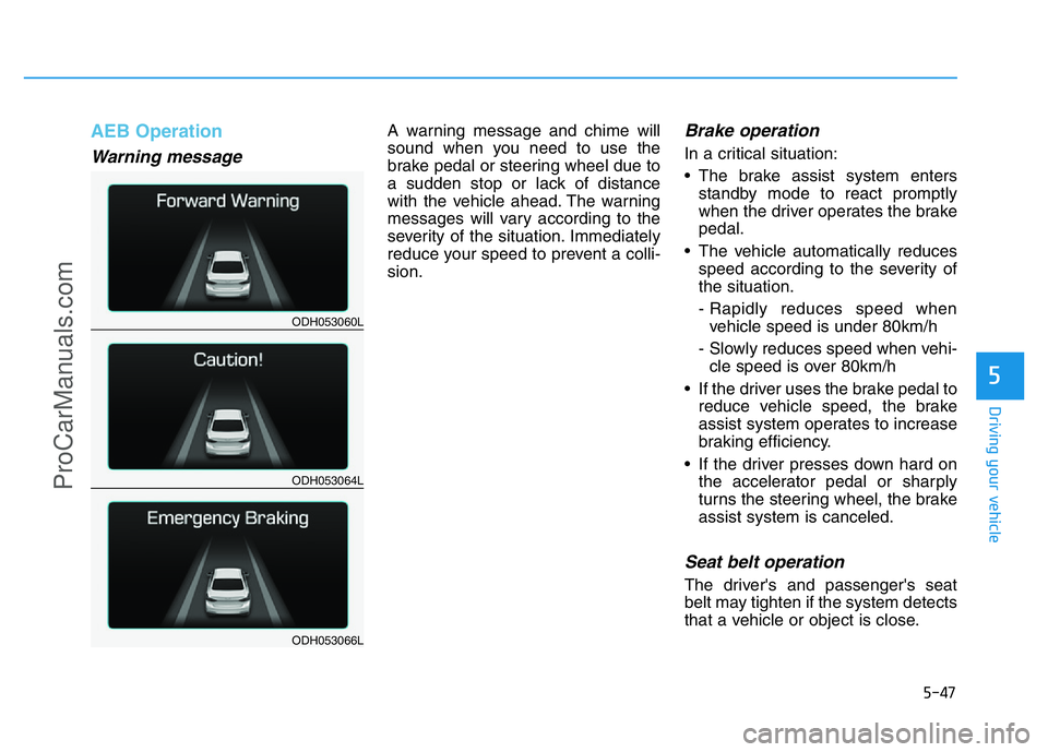HYUNDAI COUPE 2014 Owners Manual 5-47
Driving your vehicle
5
AEB Operation
Warning message
A warning message and chime will
sound when you need to use the
brake pedal or steering wheel due to
a sudden stop or lack of distance
with th HYUNDAI COUPE 2014 Owners Manual 5-47
Driving your vehicle
5
AEB Operation
Warning message
A warning message and chime will
sound when you need to use the
brake pedal or steering wheel due to
a sudden stop or lack of distance
with th