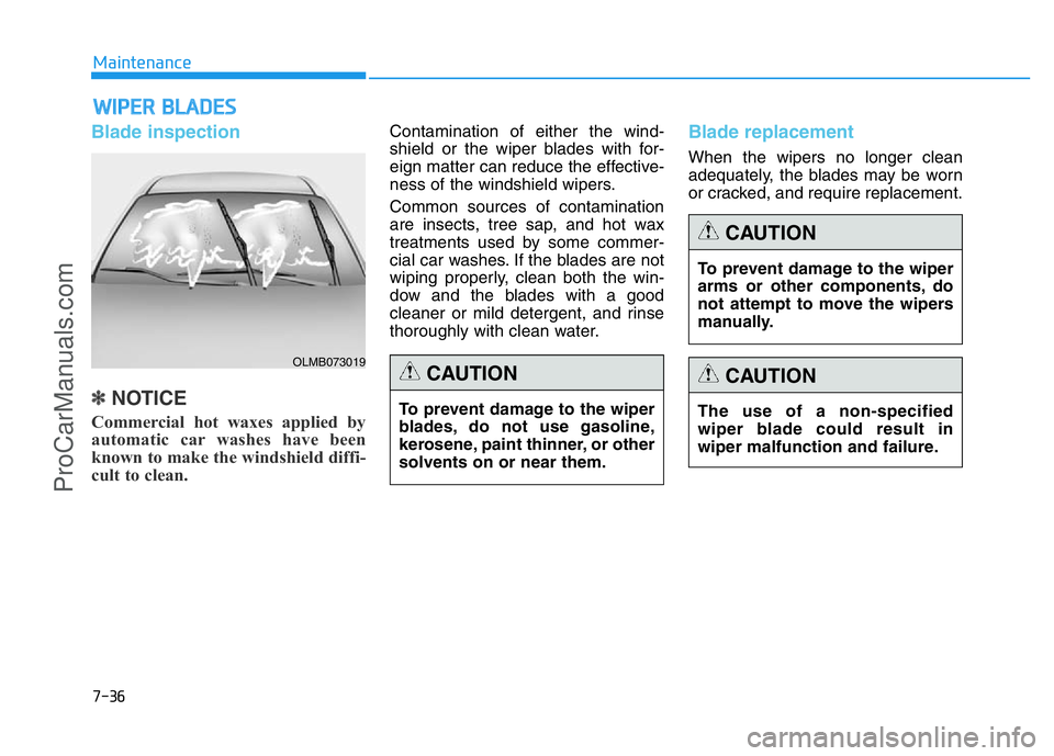 HYUNDAI COUPE 2014 Owners Manual 7-36
Maintenance
WIPER BLADES
Blade inspection
✽NOTICE
Commercial hot waxes applied by
automatic car washes have been
known to make the windshield diffi-
cult to clean.
Contamination of either the HYUNDAI COUPE 2014 Owners Manual 7-36
Maintenance
WIPER BLADES
Blade inspection
✽NOTICE
Commercial hot waxes applied by
automatic car washes have been
known to make the windshield diffi-
cult to clean.
Contamination of either the