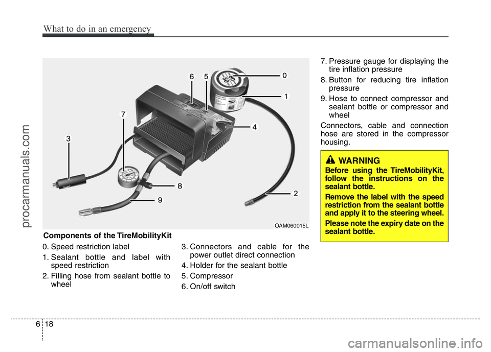HYUNDAI VELOSTER 2011 Owners Manual What to do in an emergency
18 6
0. Speed restriction label
1. Sealant bottle and label with
speed restriction
2. Filling hose from sealant bottle to
wheel3. Connectors and cable for the
power outlet d HYUNDAI VELOSTER 2011 Owners Manual What to do in an emergency
18 6
0. Speed restriction label
1. Sealant bottle and label with
speed restriction
2. Filling hose from sealant bottle to
wheel3. Connectors and cable for the
power outlet d
