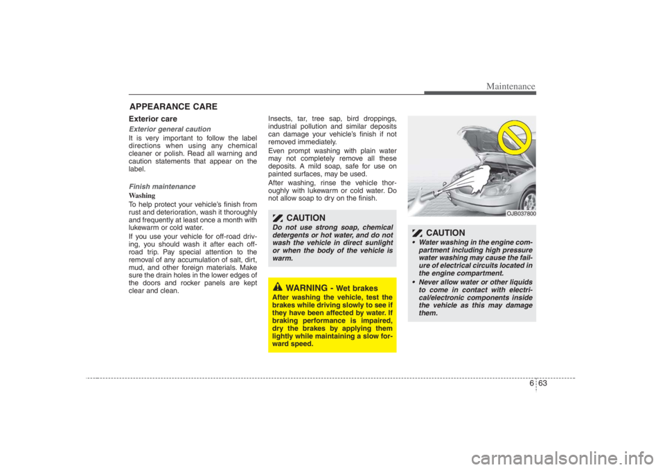 HYUNDAI ENTOURAGE 2008  Owners Manual 663
Maintenance
APPEARANCE CAREExterior care Exterior general caution It is very important to follow the label
directions when using any chemical
cleaner or polish. Read all warning and
caution statem