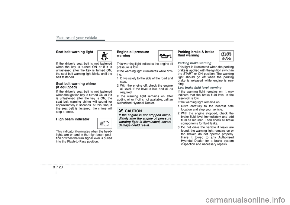 HYUNDAI ENTOURAGE 2009  Owners Manual Features of your vehicle120 3Seat belt warning light If the drivers seat belt is not fastened
when the key is turned ON or if it is
unfastened after the key is turned ON,
the seat belt warning light 