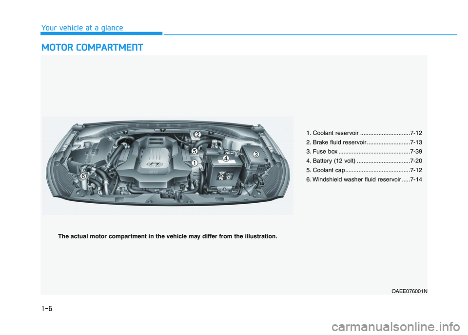 HYUNDAI IONIQ 2020 User Guide 1-6
Your vehicle at a glance
M MO
OT
TO
OR
R
C
CO
OM
MP
PA
AR
RT
TM
ME
EN
NT
T
1. Coolant reservoir ..............................7-12
2. Brake fluid reservoir ..........................7-13
3. Fuse HYUNDAI IONIQ 2020 User Guide 1-6
Your vehicle at a glance
M MO
OT
TO
OR
R
C
CO
OM
MP
PA
AR
RT
TM
ME
EN
NT
T
1. Coolant reservoir ..............................7-12
2. Brake fluid reservoir ..........................7-13
3. Fuse