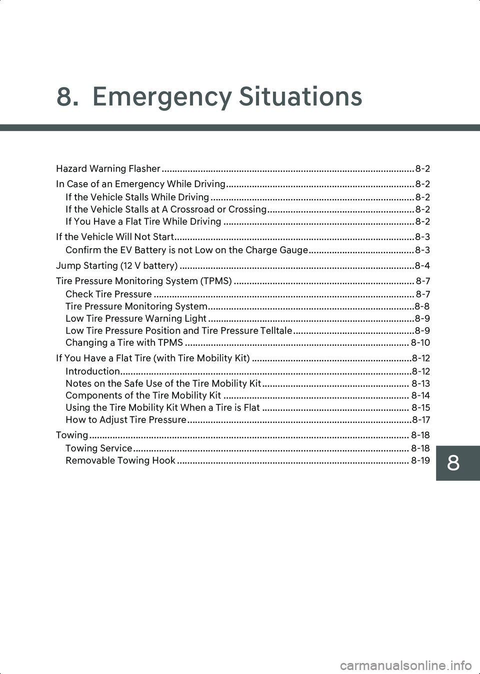 HYUNDAI IONIQ 6 2023  Owners Manual 8
8.  Emergency Situations
Hazard Warning Flasher .................................................................................................. 8-2
In Case of an Emergency While Driving..........