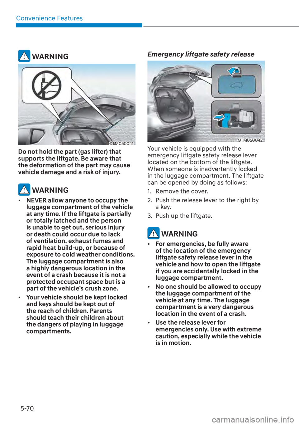 HYUNDAI SANTA FE HYBRID 2023  Owners Manual Convenience Features5-70
 WARNING
OTM050041 
Do not hold the part (gas lifter) that 
supports the liftgate. Be aware that 
the deformation of the part may cause 
vehicle damage and a risk of injury.
 