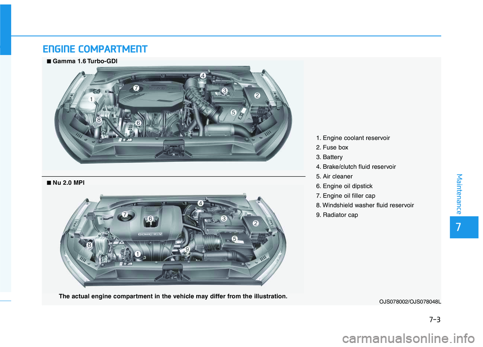 HYUNDAI VELOSTER 2020  Owners Manual 7-3
7
Maintenance
E EN
NG
GI
IN
NE
E 
 C
CO
OM
MP
PA
AR
RT
TM
ME
EN
NT
T 
 
OJS078002/OJS078048L
■
■Gamma 1.6 Turbo-GDI
1. Engine coolant reservoir
2. Fuse box 
3. Battery
4. Brake/clutch fluid re