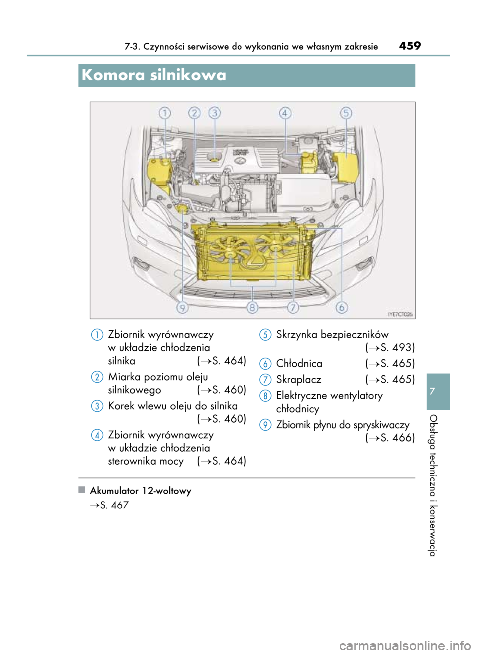 Lexus CT200h 2016  Instrukcja Obsługi (in Polish) Akumulator 12-woltowy
S. 467
Zbiornik wyrównawczy
w uk∏adzie ch∏odzenia
silnika (
S. 464)
Miarka poziomu oleju
silnikowego (
S. 460)
Korek wlewu oleju do silnika
(
S. 460)
Zbiornik wyrównawc