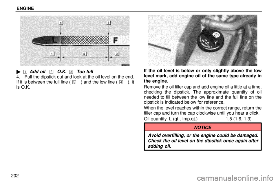 Lexus ES300 1997  Service Procedures And Specifications: Engine ENGINE
202
Add oil O.K. Too full 
4. Pull the dipstick out and look at the oil level on the end.
If it is between the full line ( �) and the low line ( �), it
is O.K.
If the oil level is below o