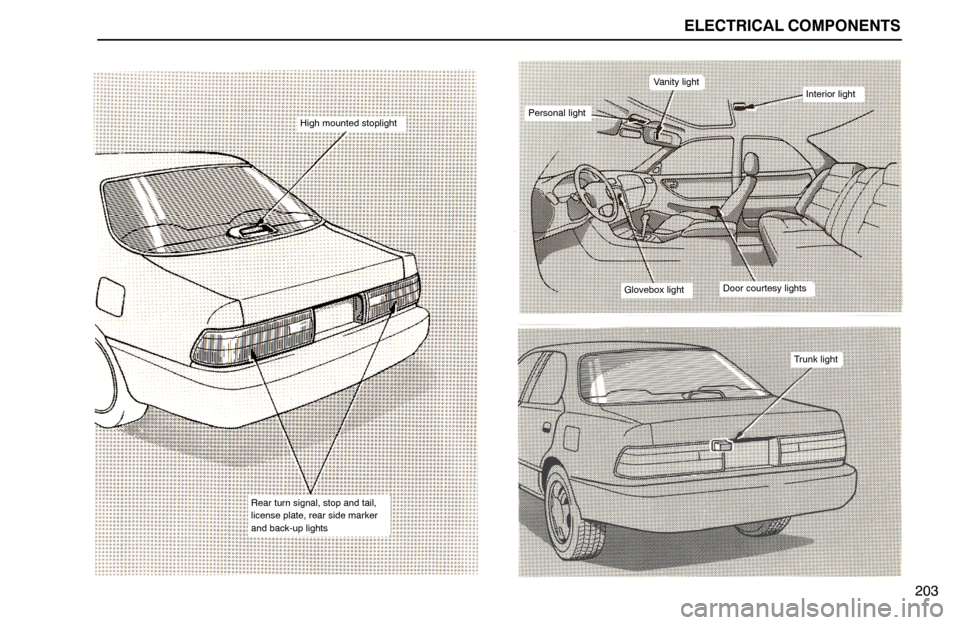 Lexus ES300 1995  Electrical Components ELECTRICAL COMPONENTS
203
Rear turn signal, stop and tail,
license plate, rear side marker
and back-up lights
High mounted stoplight
Vanity lightInterior light
Glovebox lightDoor courtesy lights
Perso