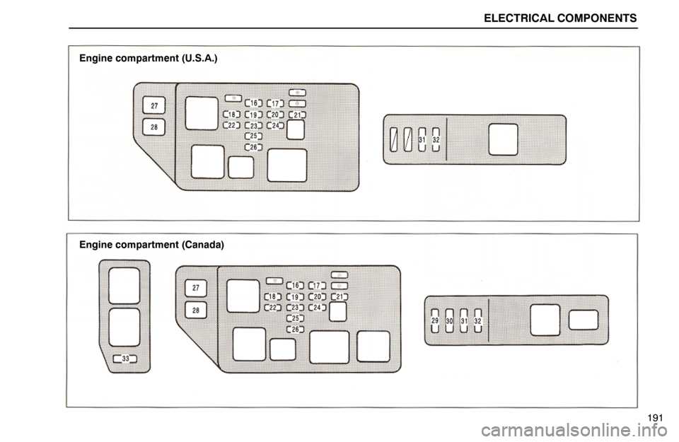 Lexus ES300 1995  Electrical Components ELECTRICAL COMPONENTS
Engine compartment (U.S.A.)
Engine compartment (Canada)
191 