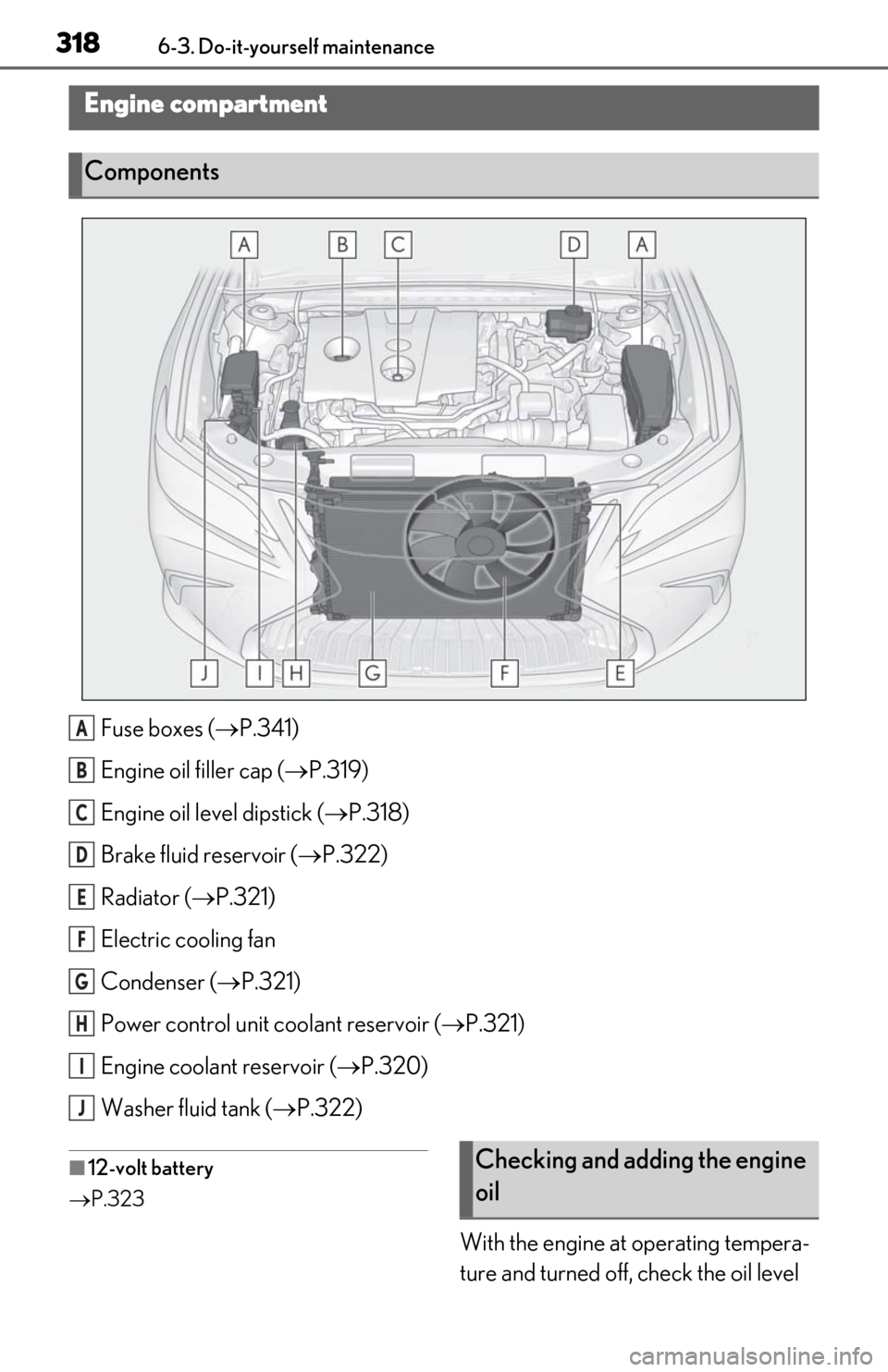 Lexus ES300h 2019  Owners Manual (OM06178U) 3186-3. Do-it-yourself maintenance
Fuse boxes (P.341)
Engine oil filler cap ( P.319)
Engine oil level dipstick ( P.318)
Brake fluid reservoir ( P.322)
Radiator ( P.321)
Electric cooling