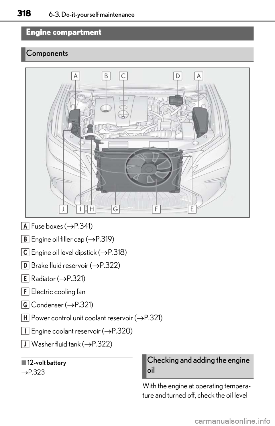 Lexus ES300h 2019 Owners Manual (OM06178U) 3186-3. Do-it-yourself maintenance
Fuse boxes (P.341)
Engine oil filler cap ( P.319)
Engine oil level dipstick ( P.318)
Brake fluid reservoir ( P.322)
Radiator ( P.321)
Electric cooling Lexus ES300h 2019 Owners Manual (OM06178U) 3186-3. Do-it-yourself maintenance
Fuse boxes (P.341)
Engine oil filler cap ( P.319)
Engine oil level dipstick ( P.318)
Brake fluid reservoir ( P.322)
Radiator ( P.321)
Electric cooling