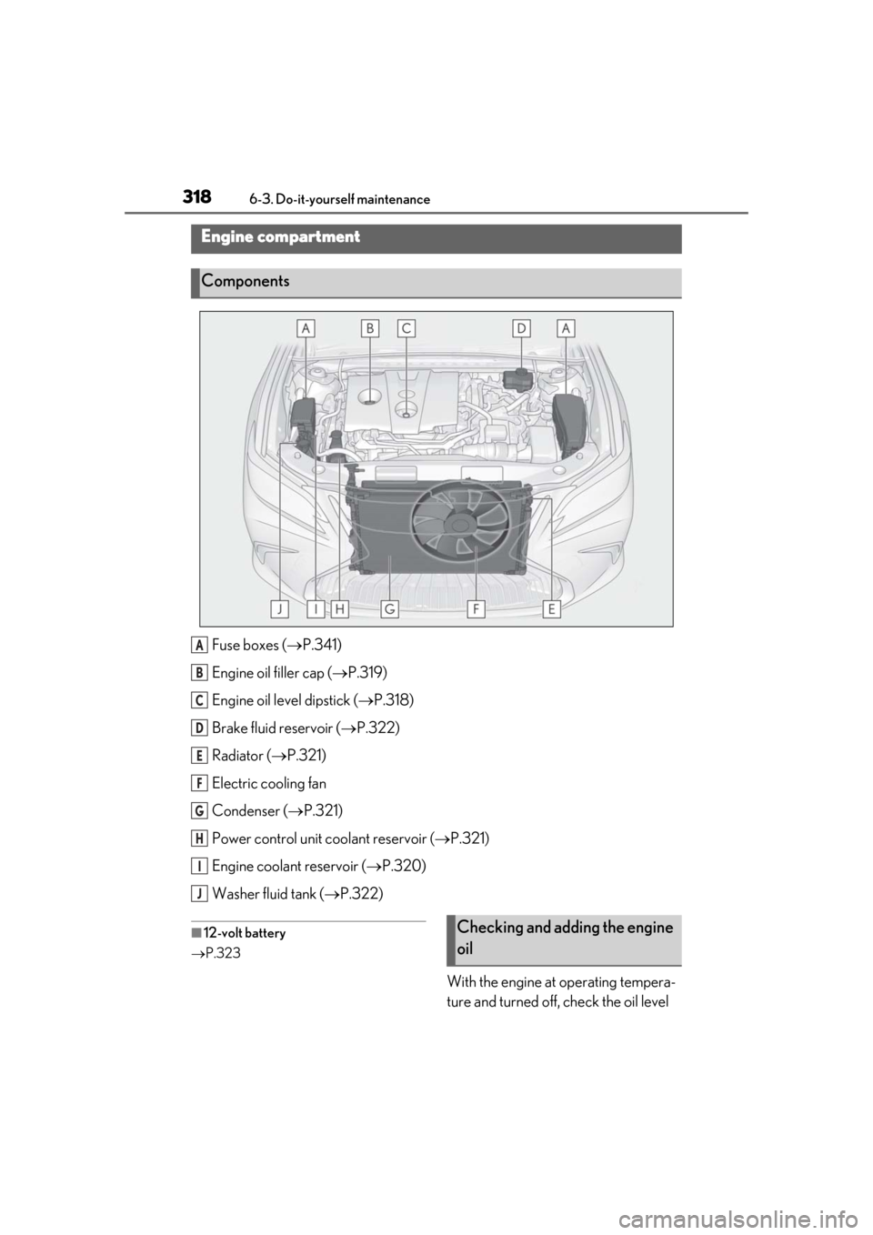 Lexus ES300h 2019  Owners Manual (OM33D00U) 3186-3. Do-it-yourself maintenance
Fuse boxes (P.341)
Engine oil filler cap ( P.319)
Engine oil level dipstick ( P.318)
Brake fluid reservoir ( P.322)
Radiator ( P.321)
Electric cooling