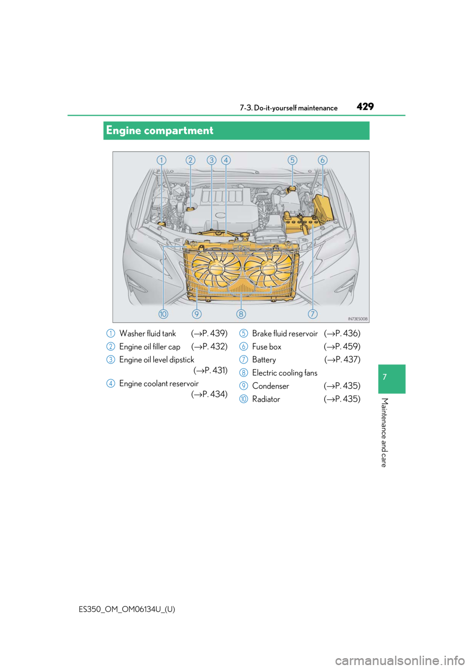 Lexus ES350 2018 Owners Manuals / LEXUS 2018 ES350 OWNERS MANUAL (OM06134U) 429
ES350_OM_OM06134U_(U)7-3. Do-it-yourself maintenance
7
Maintenance and care
Engine compartment
Washer fluid tank (
→P. 439)
Engine oil filler cap (→ P. 432)
Engine oil level dipstick (→P. Lexus ES350 2018 Owners Manuals / LEXUS 2018 ES350 OWNERS MANUAL (OM06134U) 429
ES350_OM_OM06134U_(U)7-3. Do-it-yourself maintenance
7
Maintenance and care
Engine compartment
Washer fluid tank (
→P. 439)
Engine oil filler cap (→ P. 432)
Engine oil level dipstick (→P.