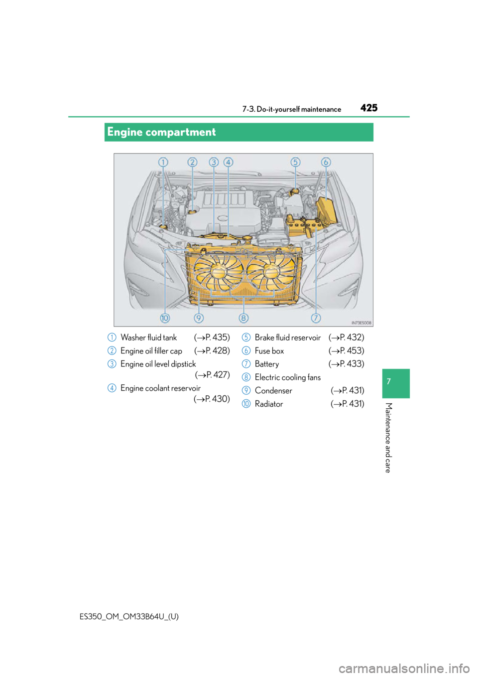 Lexus ES350 2016  Quick Guide / LEXUS 2016 ES350 OWNERS MANUAL (OM33B64U) 425
ES350_OM_OM33B64U_(U)7-3. Do-it-yourself maintenance
7
Maintenance and care
Engine compartment
Wa s h e r  f l u i d  t a n k   (
P.  4 3 5 )
Engine oil filler cap ( P.  4 2 8 )
Engine oil l