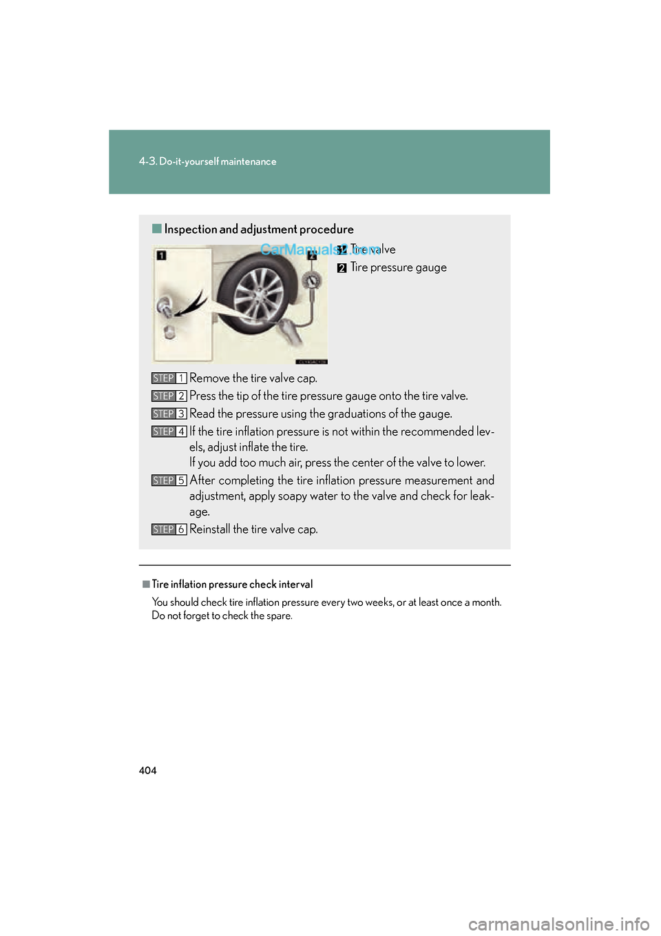 Lexus ES350 2011  s Owners Guide 404
4-3. Do-it-yourself maintenance
ES350_U
■Tire inflation pressure check interval
You should check tire inflation pressure every two weeks, or at least once a month.
Do not forget to check the spa