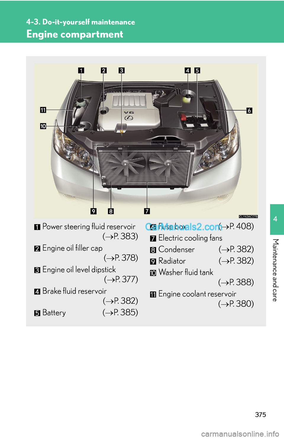 Lexus ES350 2010  Do-It-Yourself Maintenance 375
4-3. Do-it-yourself maintenance
4
Maintenance and care
Engine compartment
Power steering fluid reservoir 
(→P. 383)
Engine oil filler cap 
(→P.  3 7 8 )
Engine oil level dipstick 
(→P. 377)
