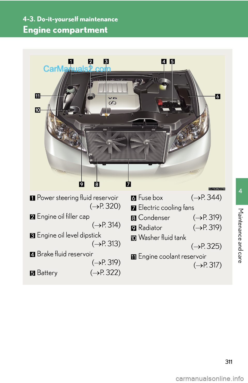 Lexus ES350 2009  Do-it-yourself maintenance 311
4-3. Do-it-yourself maintenance
4
Maintenance and care
Engine compartment
Power steering fluid reservoir
(→P. 320)
Engine oil filler cap
(→P. 314)
Engine oil level dipstick
(→P. 313)
Brake f